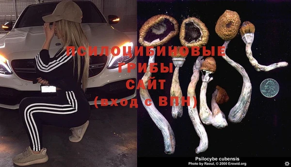 Альфа ПВП Баксан
