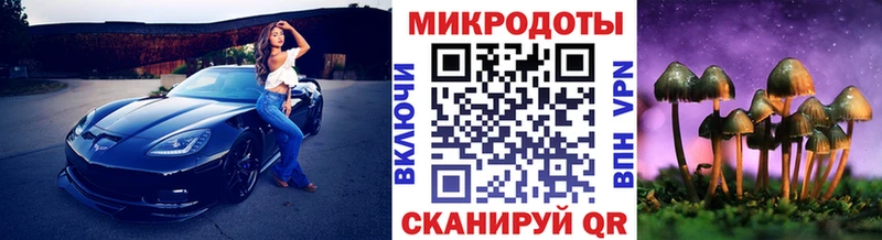 Псилоцибиновые грибы мухоморы  Купить закладки  Дальнегорск 